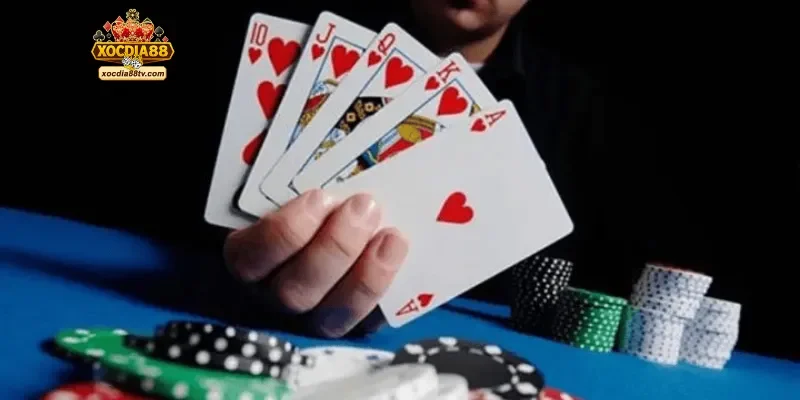 Tiến Lên Miền Bắc – Sổ tay đánh bài cao thủ cùng XocDia88